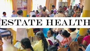 Estate health service brought under Health Ministry