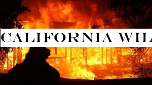 California wildfires: Millions warned of possible power cut