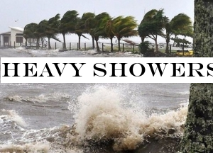Heavy showers, strong winds and rough seas due to cyclonic storm &Bulbul&