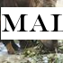Malaysia's last Sumatran rhino dies from cancer