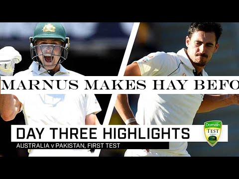 Marnus makes hay before seamers have a field day | First Domain Test