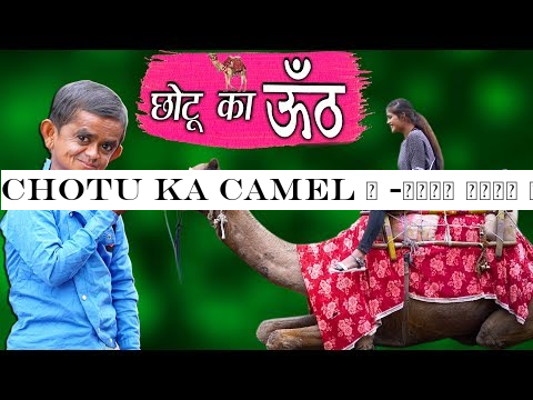 CHOTU KA CAMEL | quot;-#2331;-#2379;-#2335;-#2370; -#2342;-#2366;-#2342;-#2366; -#2314;-#2305;-#2335; -#2357;-#2366;-#2354;-#2366; quot; Khandesh Hindi Comedy | Chotu Comedy Video