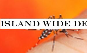 Island wide dengue eradication programs before schools start