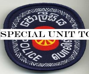 Special Unit to curb criminal activities