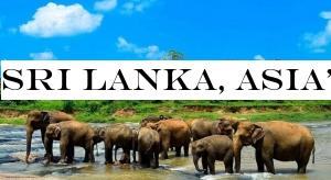 Sri Lanka, AsiaBest Nation for Wildlife Tourism