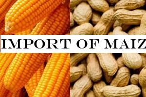 Import of maize and peanuts suspended from 15th