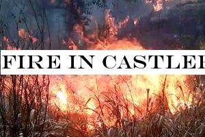 Fire in Castlereigh reserve