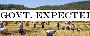 Govt. expected to buy 3 mn. tonnes of Maha paddy harvest