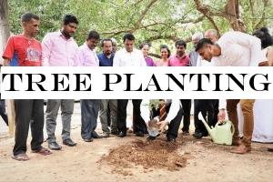 Tree planting at Infrmation Department
