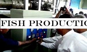 Fish production project launched
