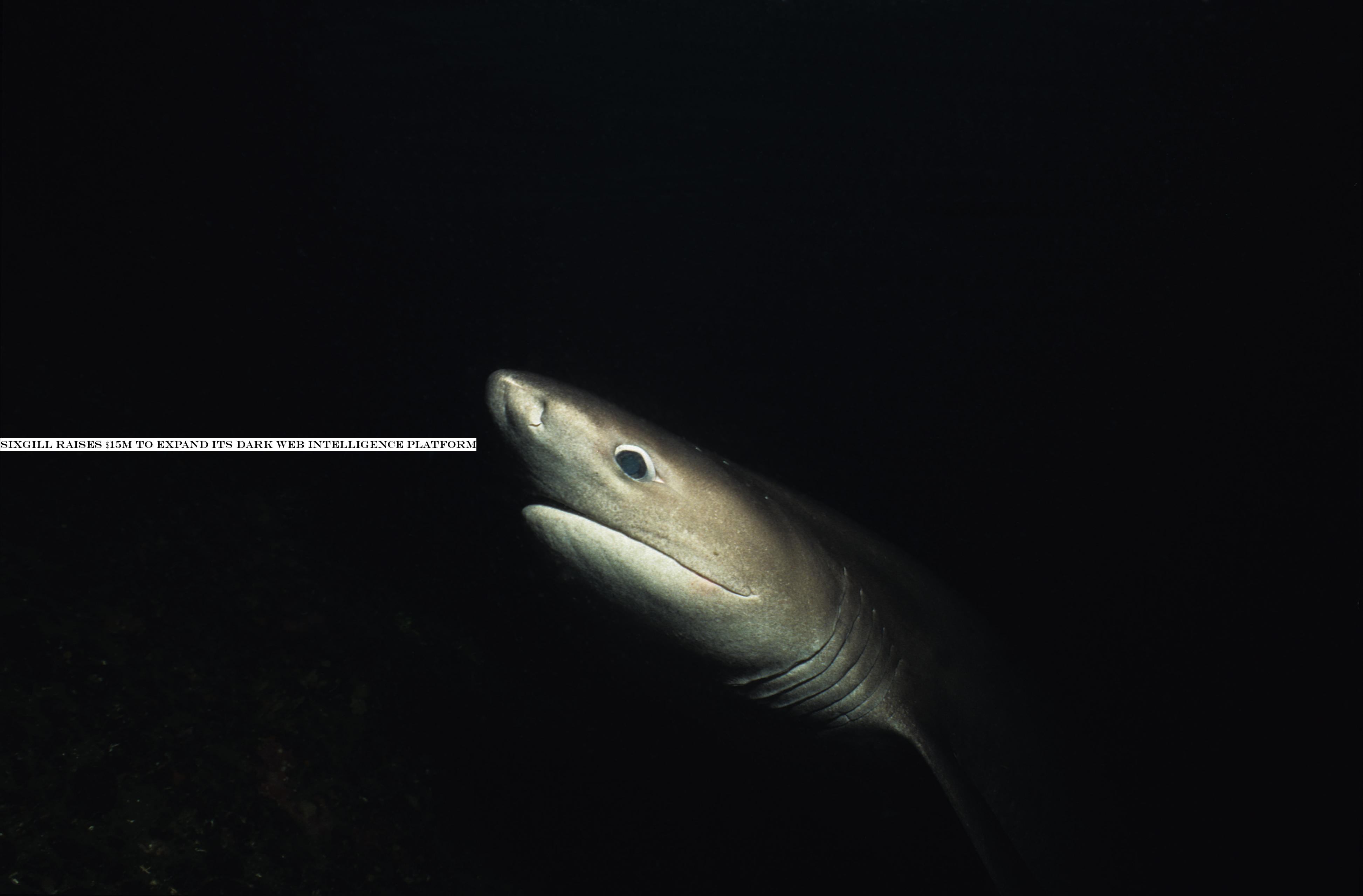 Sixgill raises $15M to expand its dark web intelligence platform
