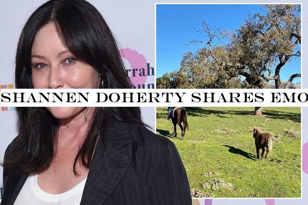 Shannen Doherty shares emotional update amid battle with brutal stage 4 cancer