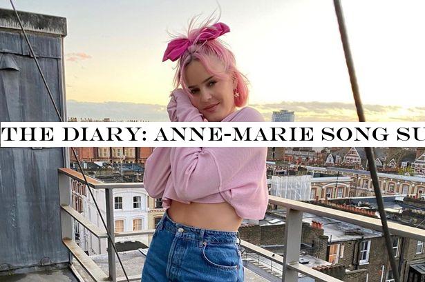 The Diary: Anne-Marie song summarises the snub of female artists at the BRITS