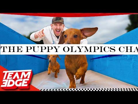The Puppy Olympics Challenge!!