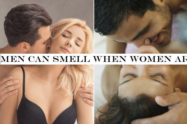 Men can smell when women are sexually aroused, scientists claim