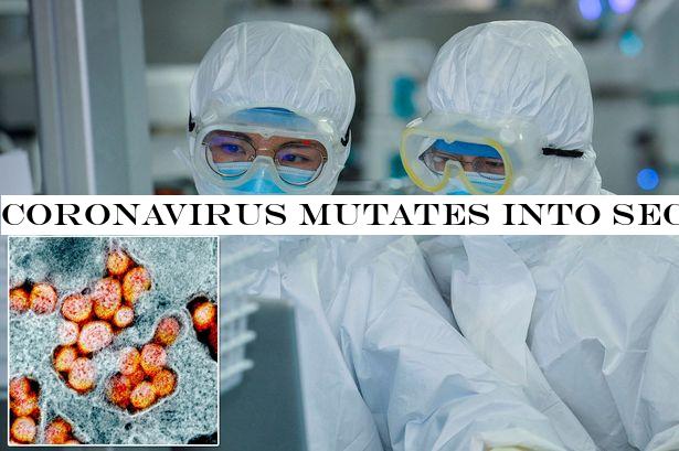 Coronavirus mutates into second strain which is more aggressive and contagious