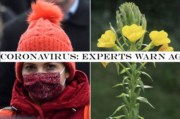 Coronavirus: Experts warn against using herbal remedies to protect yourself