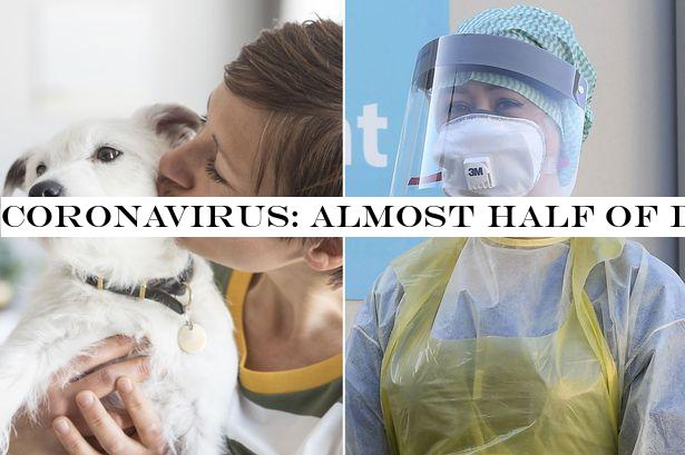 Coronavirus: Almost half of dog owners kiss their pets despite risk of transmission