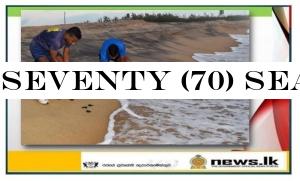 Seventy (70) sea turtle hatchlings released to the ocean by Navy turtle conservation project