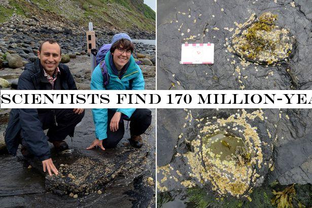 Scientists find 170 million-year-old stegosaurus dinosaur footprints on UK island