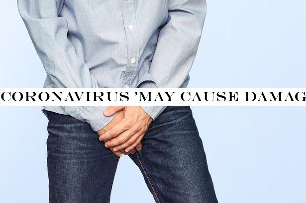 Coronavirus 'may cause damage to men's testicles', doctors warn