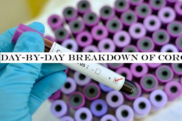 Day-by-day breakdown of coronavirus symptoms and when most patients feel them