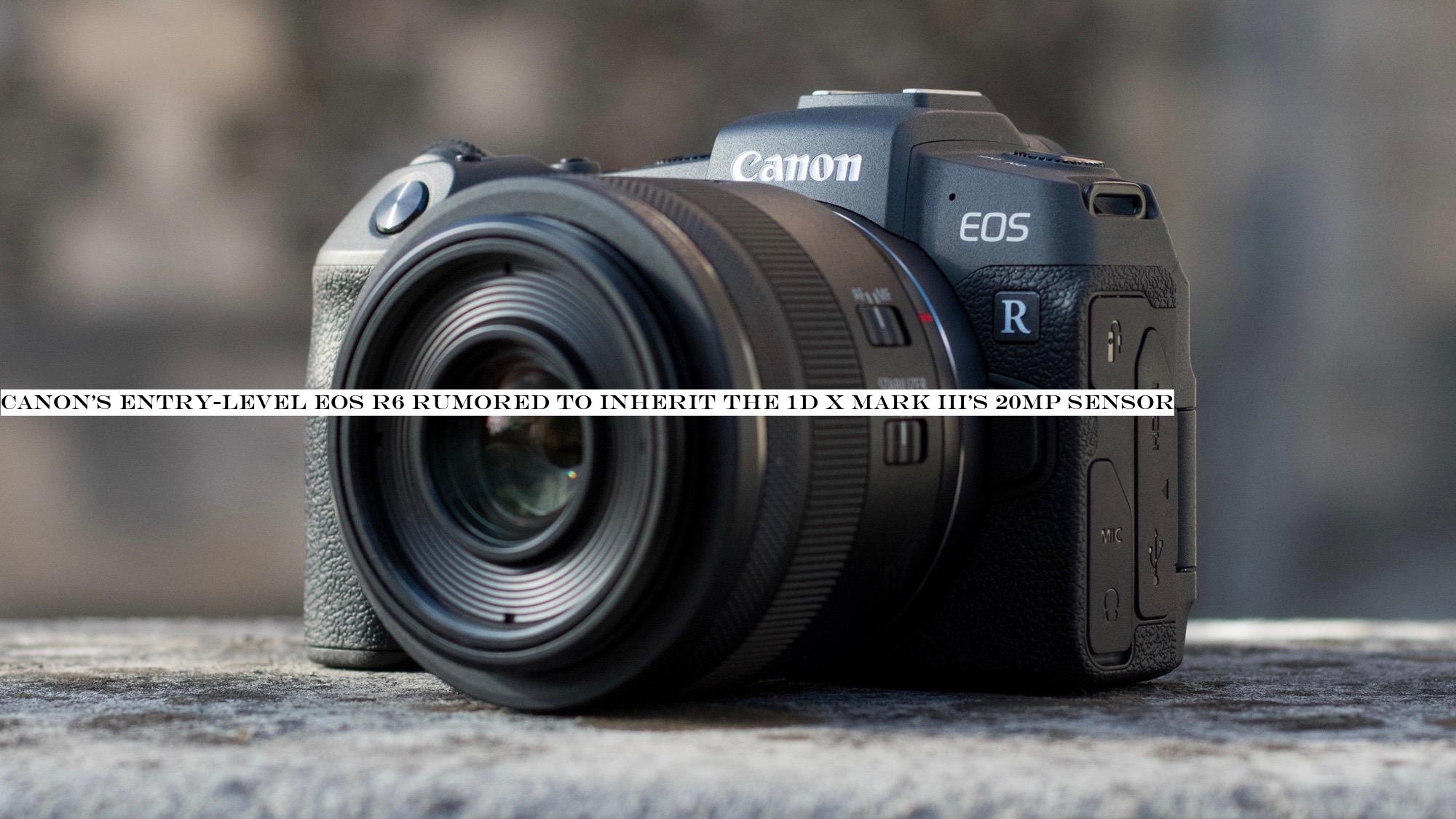 Canon's entry-level EOS R6 rumored to inherit the 1D X Mark III's 20MP sensor