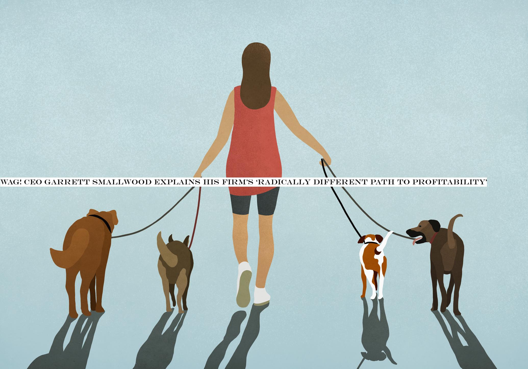 Wag! CEO Garrett Smallwood explains his firm‘radically different path to profitability&