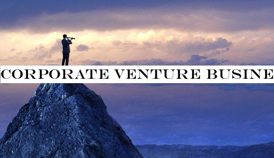Corporate venture business strategies that work