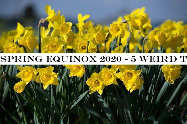 Spring Equinox 2020 - 5 weird traditions to celebrate first day of Spring today