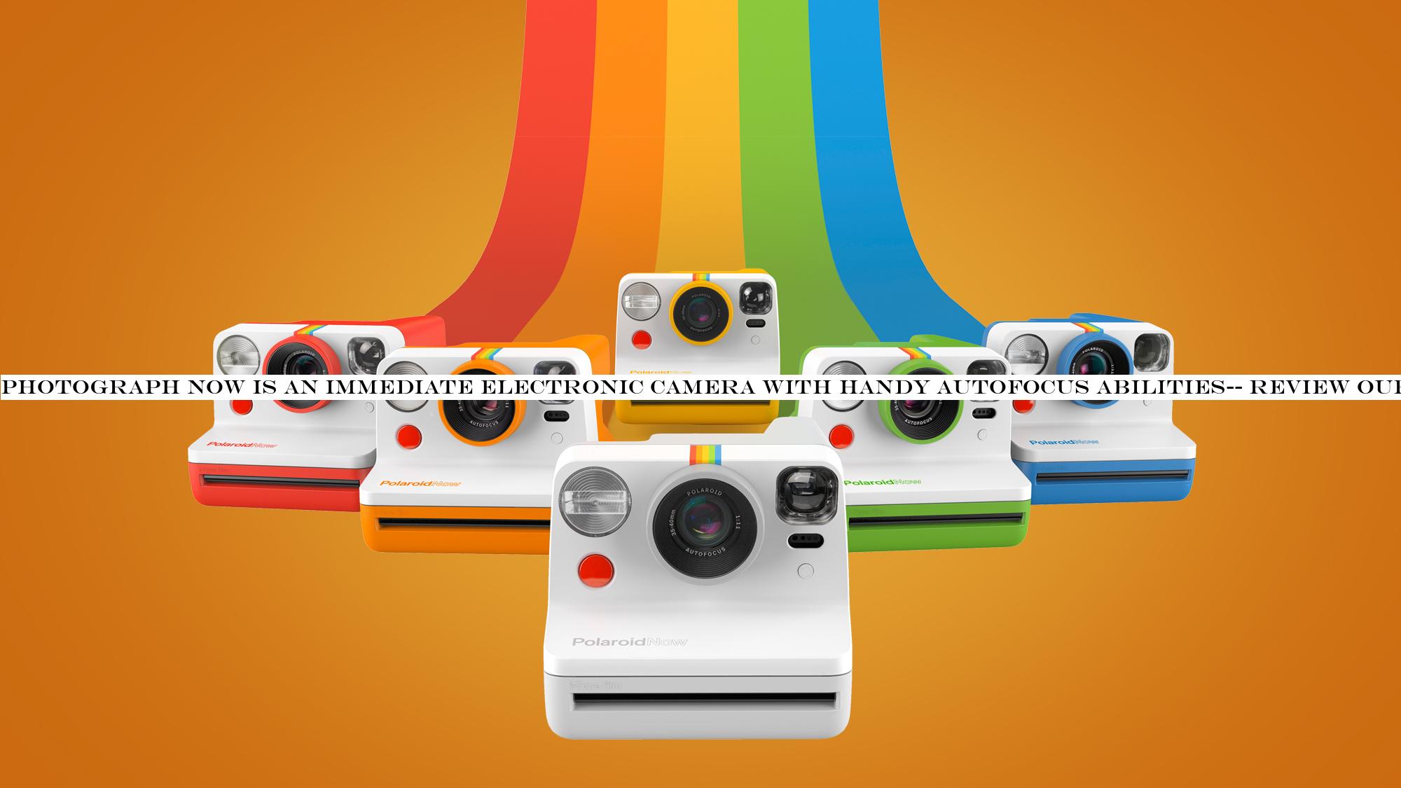 Polaroid Now