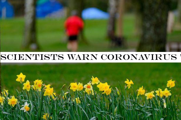 Scientists warn coronavirus 'won't go away in warm weather' as temperatures rise