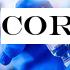 Coronavirus vaccine could be ready in September, scientist says