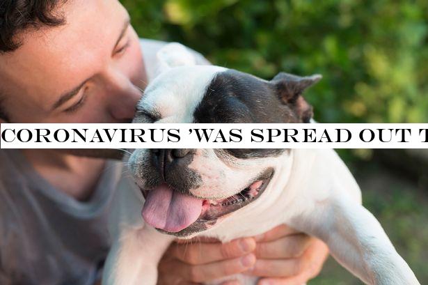 Coronavirus 'was spread to humans by dogs', scientists claim