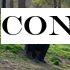 Concerns raised over Apple and Google's contact-tracing technology
