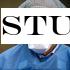 Study links COVID-19 to stray dogs eating bat meat