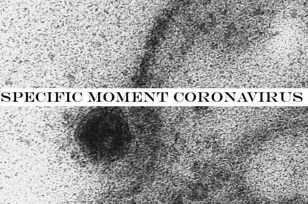 Exact moment coronavirus infects a healthy cell captured under microscope
