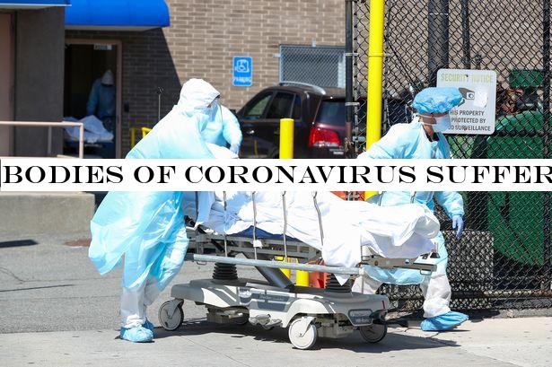 Bodies of coronavirus victims 'may be contagious' after forensic scientist dies