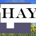 Hay fever or COVID-19? How to tell the difference