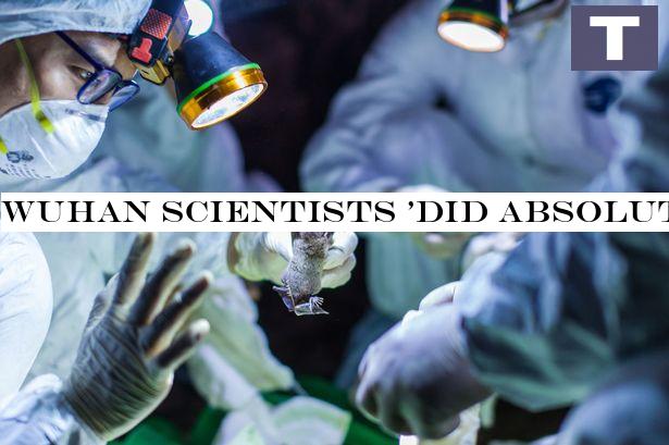 Wuhan scientists 'did absolutely crazy things' to alter coronavirus, expert says