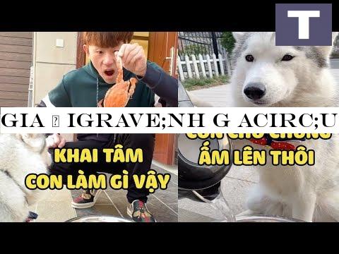 Gia -#272; igrave;nh G acirc;u -#272;-#7847;n | -#272;-#7871;n Bao Gi-#7901; Th igrave; Khai T acirc;m M-#7899;i H-#7871;t Ng aacute;o -#272; acirc;y -#128514;| Y ecirc;u Lu