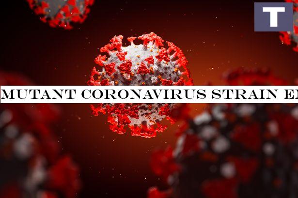 Mutant coronavirus strain emerges that 'may be more contagious than original'