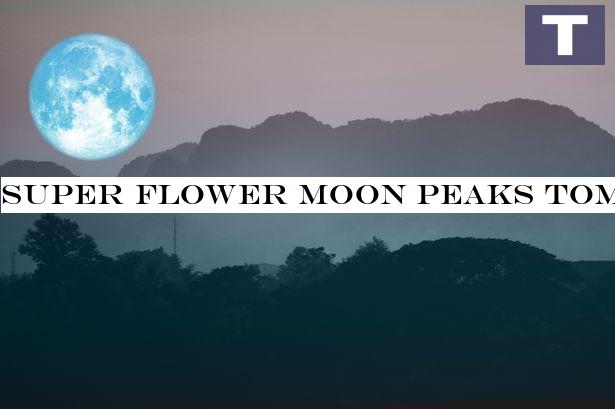 Super Flower Moon peaks tomorrow - what it is and how to see it from the UK