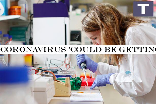 Coronavirus 'could be getting weaker' as scientists spot new mutation