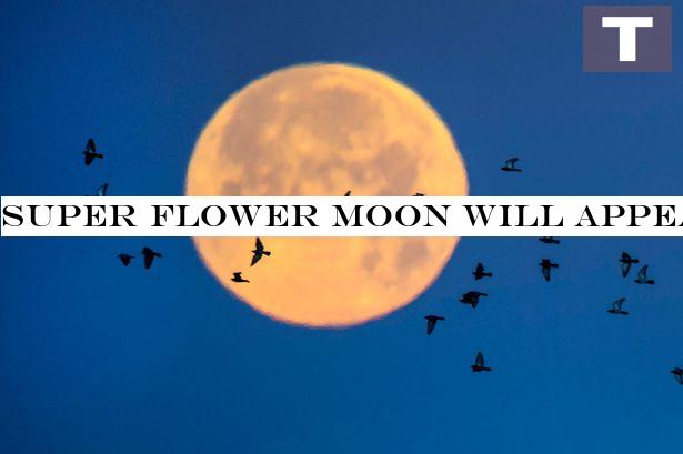 Super Flower Moon will appear tonight - what time to see final supermoon of 2020