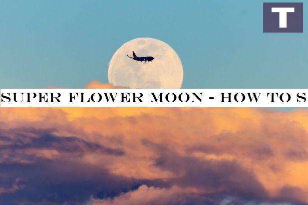 Super Flower Moon - how to see the final supermoon of 2020 from the UK tonight