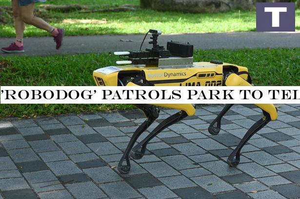 'Robodog' patrols park to tell people to keep their distance during lockdown