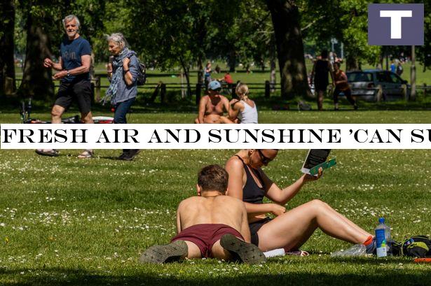 Fresh air and sunshine 'can curb the spread of the coronavirus', scientist says