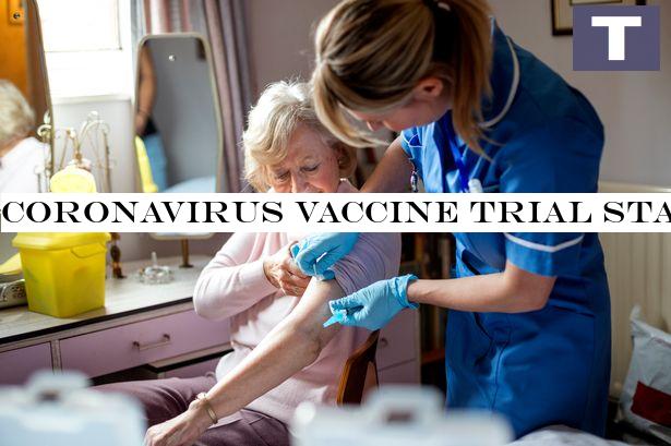 Coronavirus vaccine trial Phase 2 - who it involves and what it means for you
