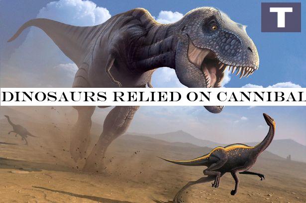 Dinosaurs turned to cannibalism when food was scarce, study finds